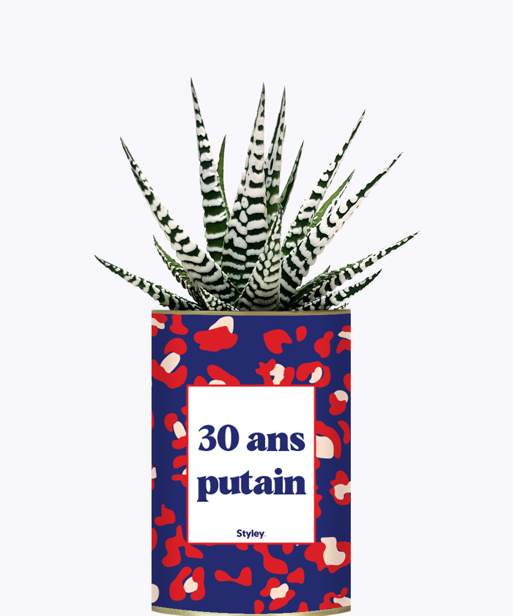 30 ans putain - Plante
