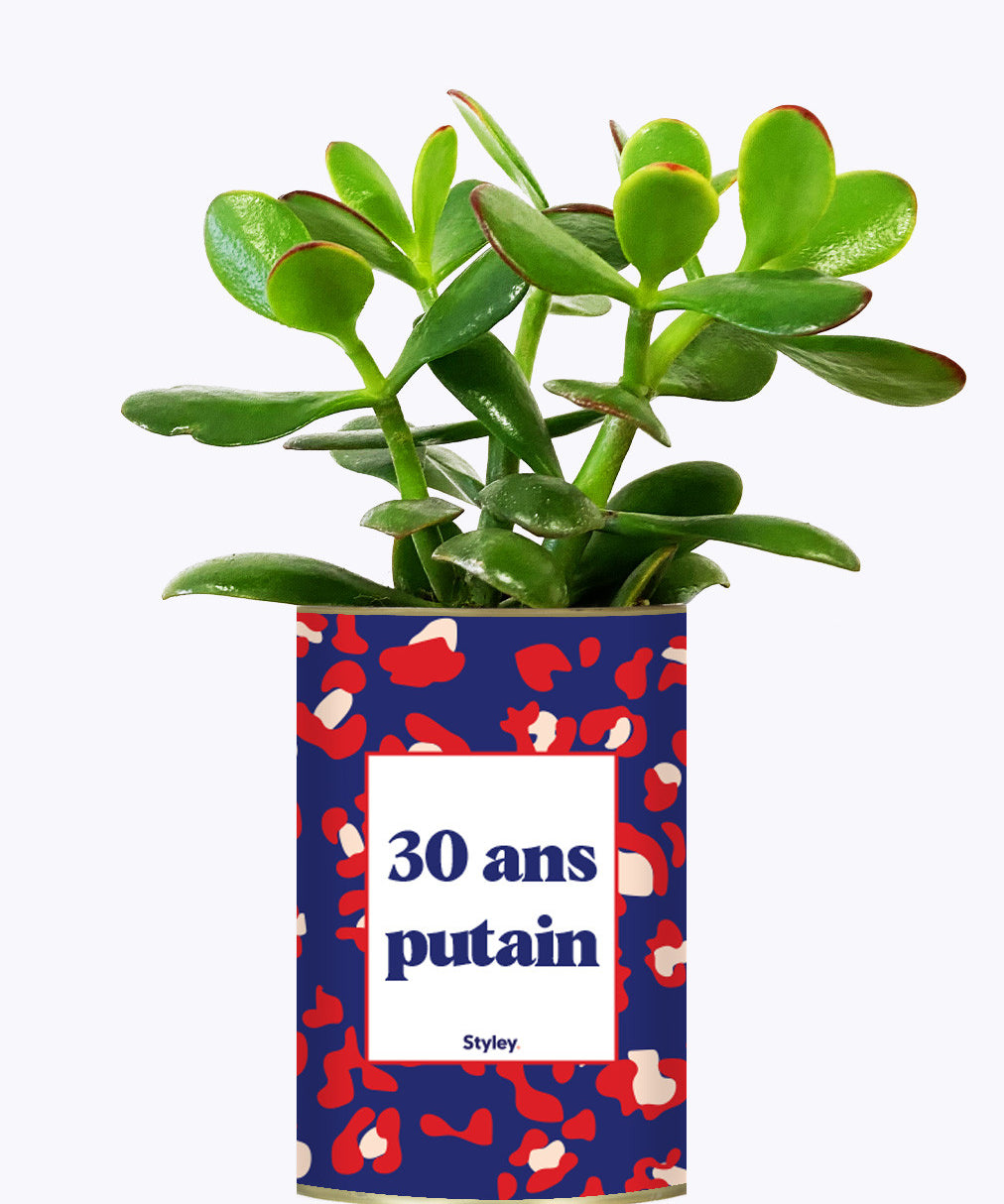 30 ans putain - Plante