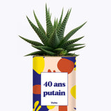 40 ans putain - Plante