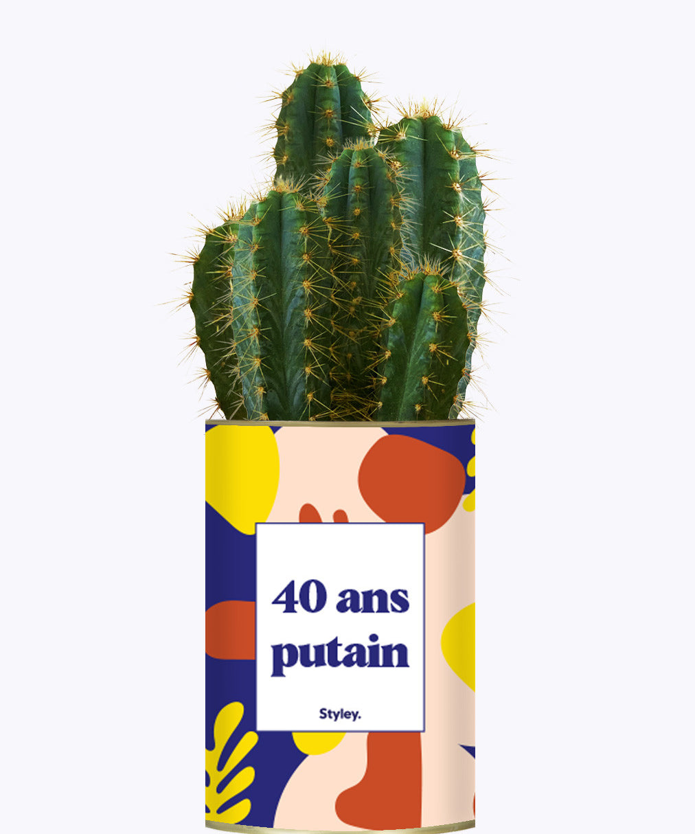 40 ans putain - Plante