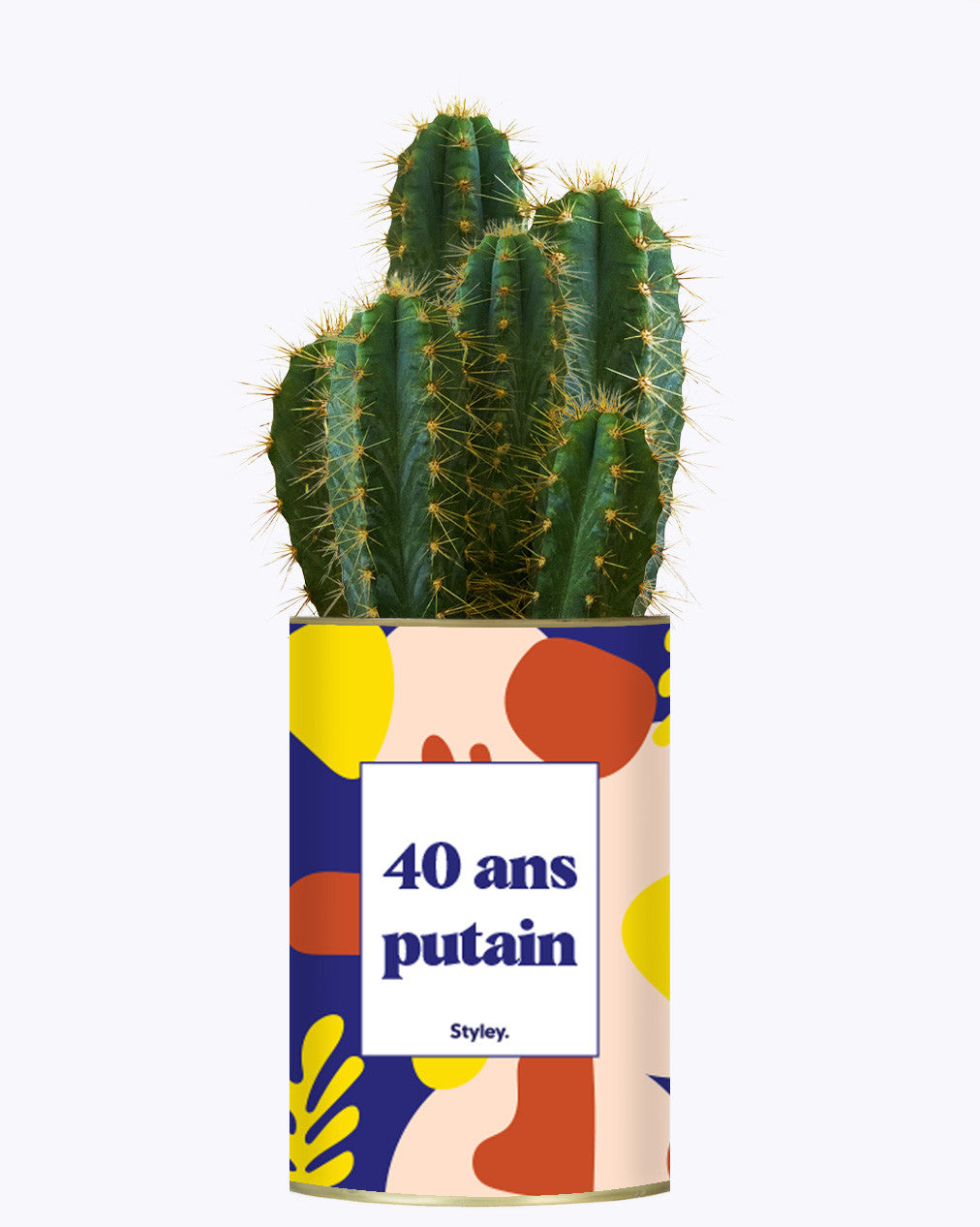 40 ans putain - Plante
