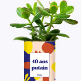 40 ans putain - Plante