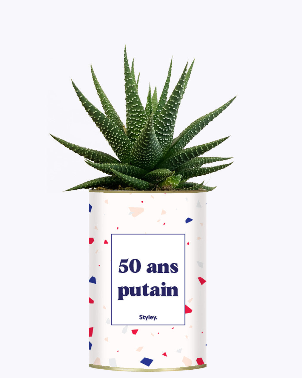 50 ans putain - Plante
