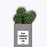 Les copines c'est la vie - Plante