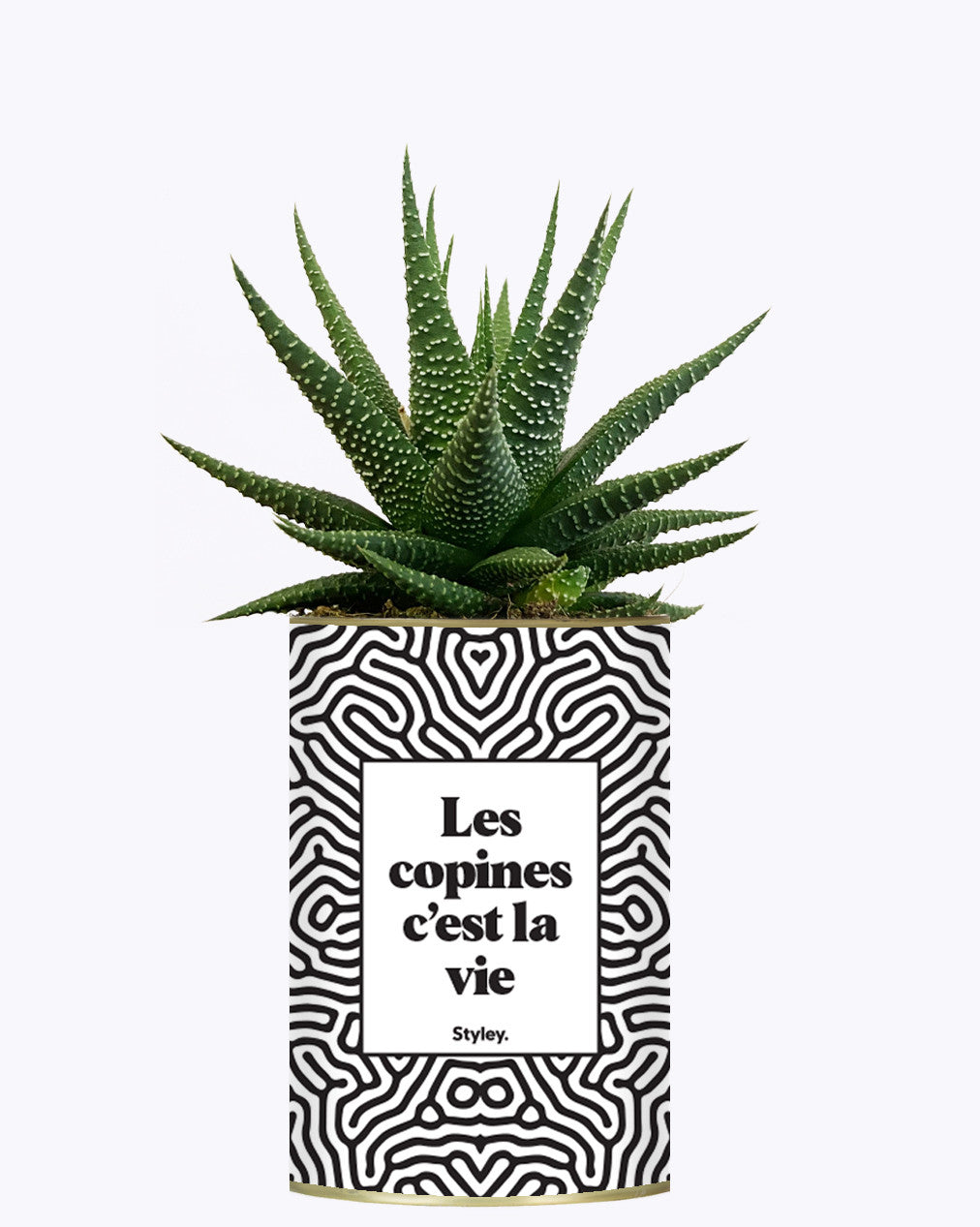 Les copines c'est la vie - Plante
