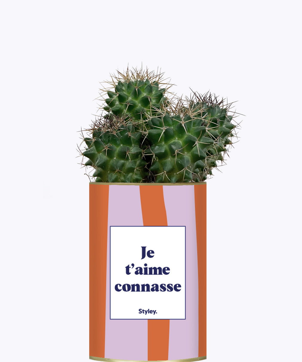 Je t'aime connasse - Plante