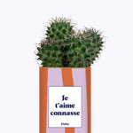 Je t'aime connasse - Plante