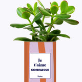 Je t'aime connasse - Plante