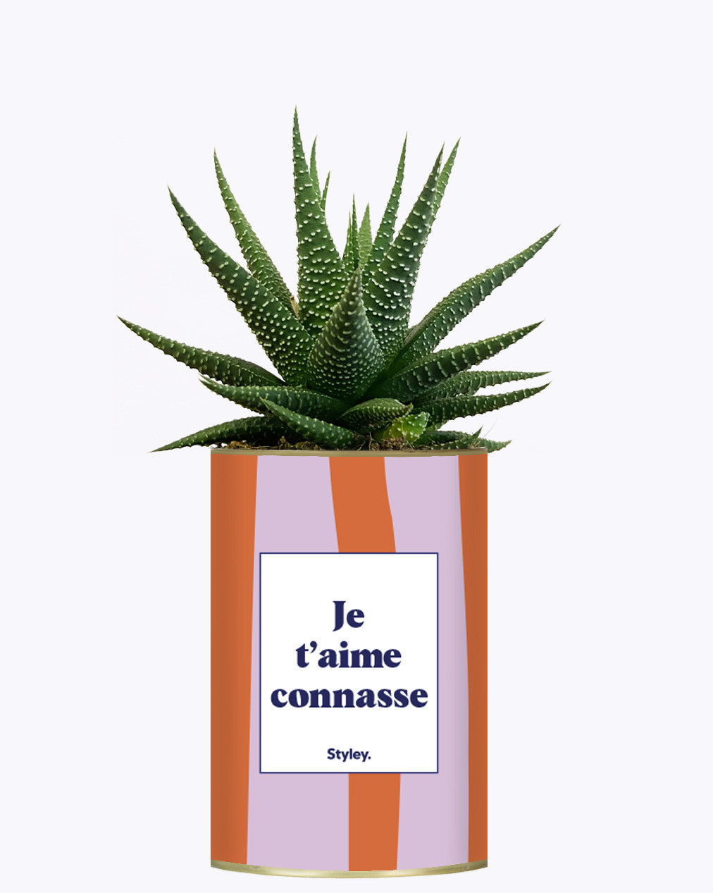 Je t'aime connasse - Plante