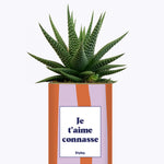 Je t'aime connasse - Plante