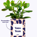 Cactus Léon - Personnalisable