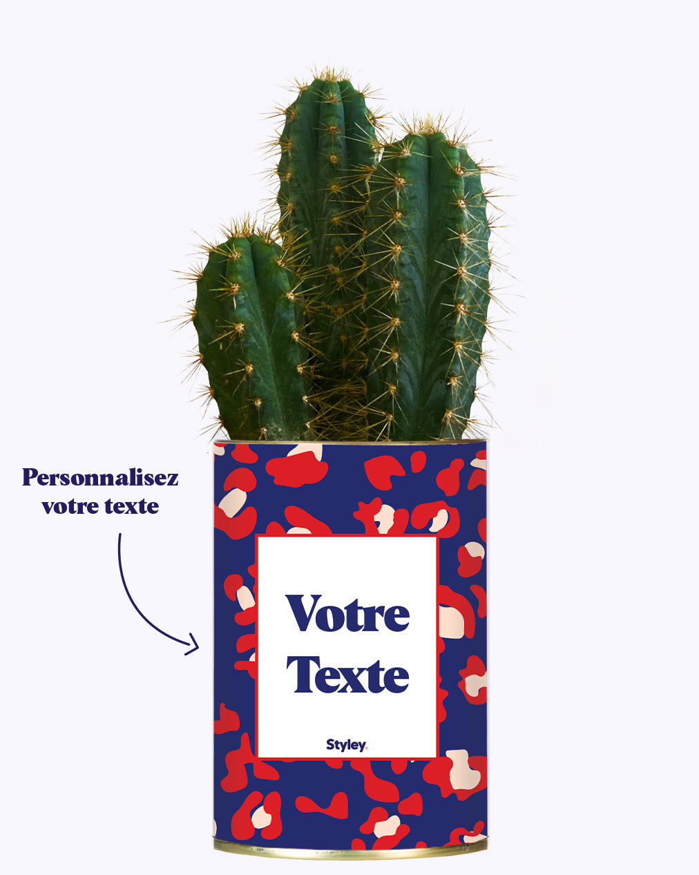 Cactus Lison - Personnalisable
