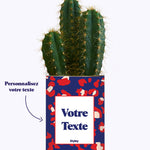 Cactus Lison - Personnalisable
