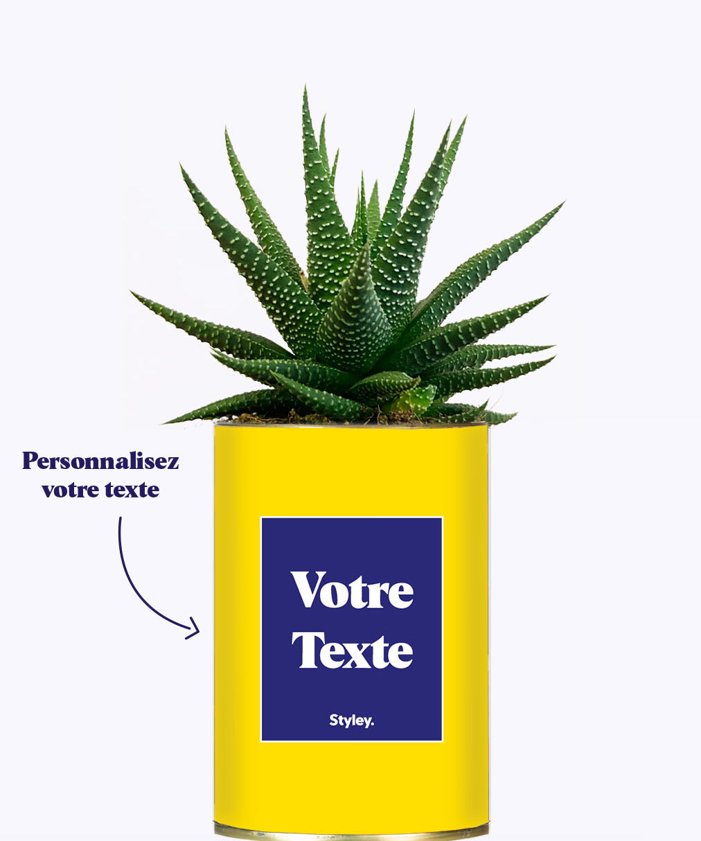 Cactus Thérèse - Personnalisable