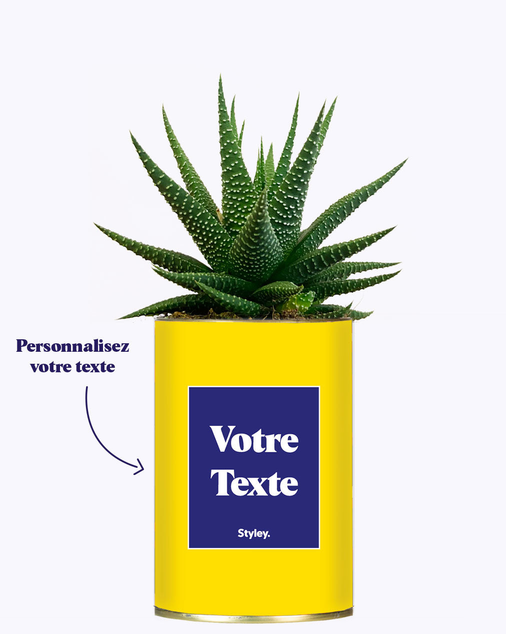 Cactus Thérèse - Personnalisable