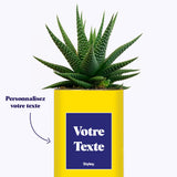 Cactus Thérèse - Personnalisable