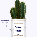 Cactus Marbre - Personnalisable