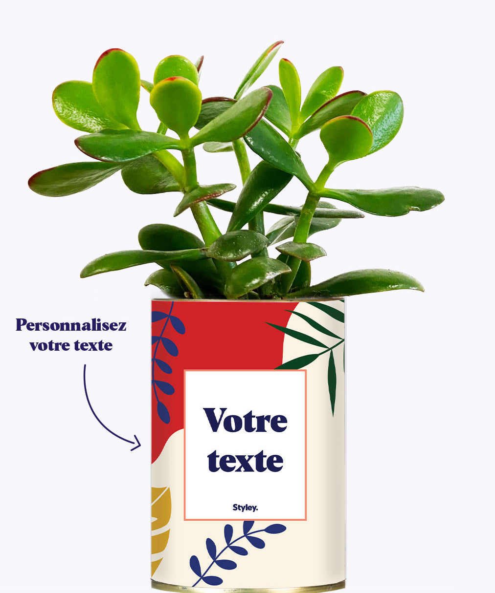 Tropical personnalisable - Cactus