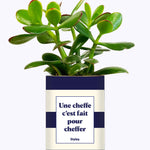 Une cheffe c'est fait pour cheffer - Cactus
