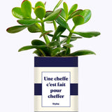 Une cheffe c'est fait pour cheffer - Cactus