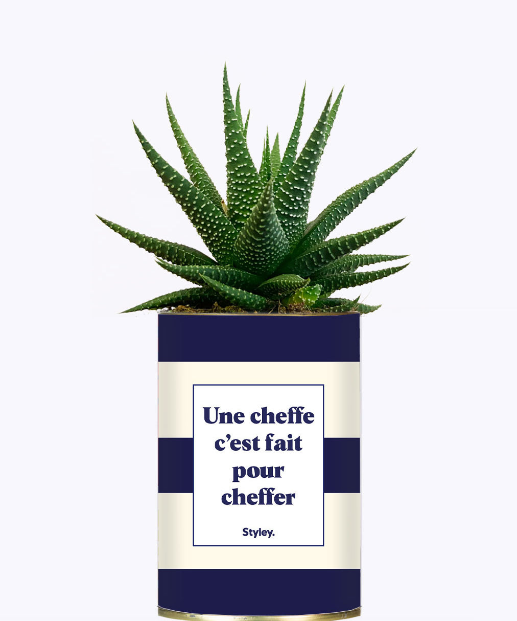 Une cheffe c'est fait pour cheffer - Cactus