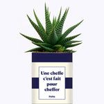 Une cheffe c'est fait pour cheffer - Cactus