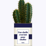 Une cheffe c'est fait pour cheffer - Cactus