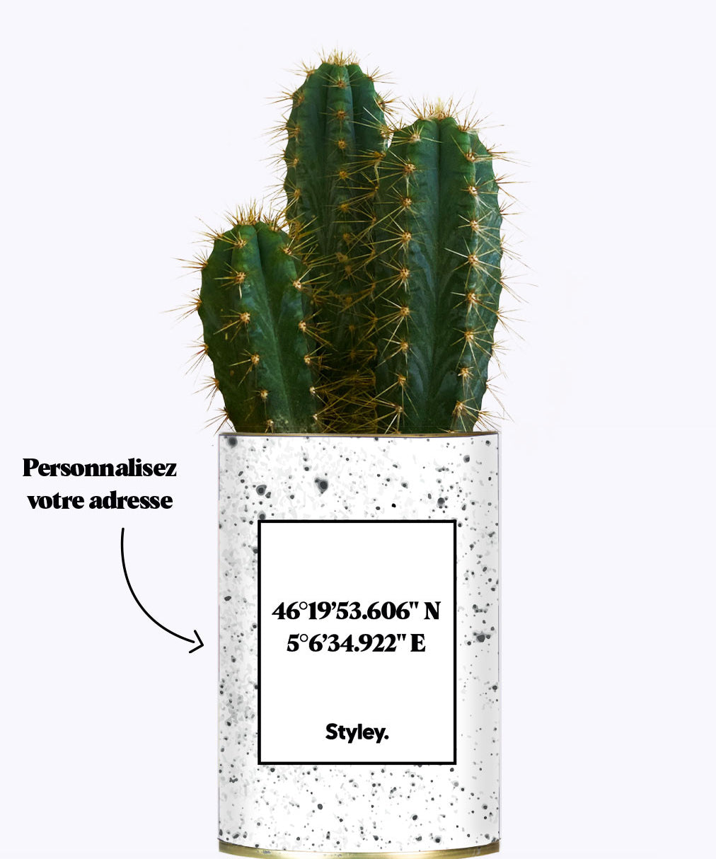 Coordonnées personnalisables - Cactus