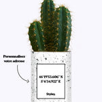 Coordonnées personnalisables - Cactus