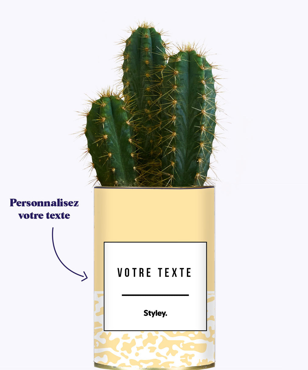 Adjectif personnalisable jaune - Cactus
