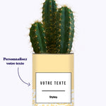 Adjectif personnalisable jaune - Cactus