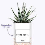 Adjectif personnalisable rose - Cactus
