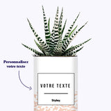Adjectif personnalisable rose - Cactus