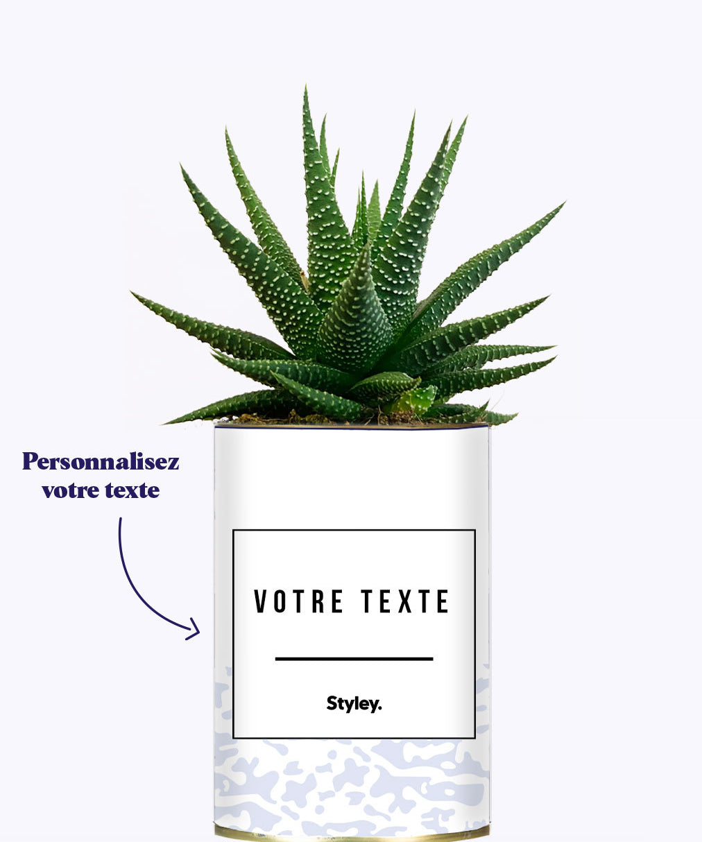 Adjectif personnalisable violet - Cactus