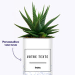 Adjectif personnalisable violet - Cactus