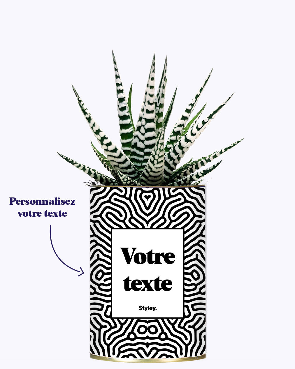 Cactus Nuance - Personnalisable