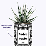 Cactus Nuance - Personnalisable