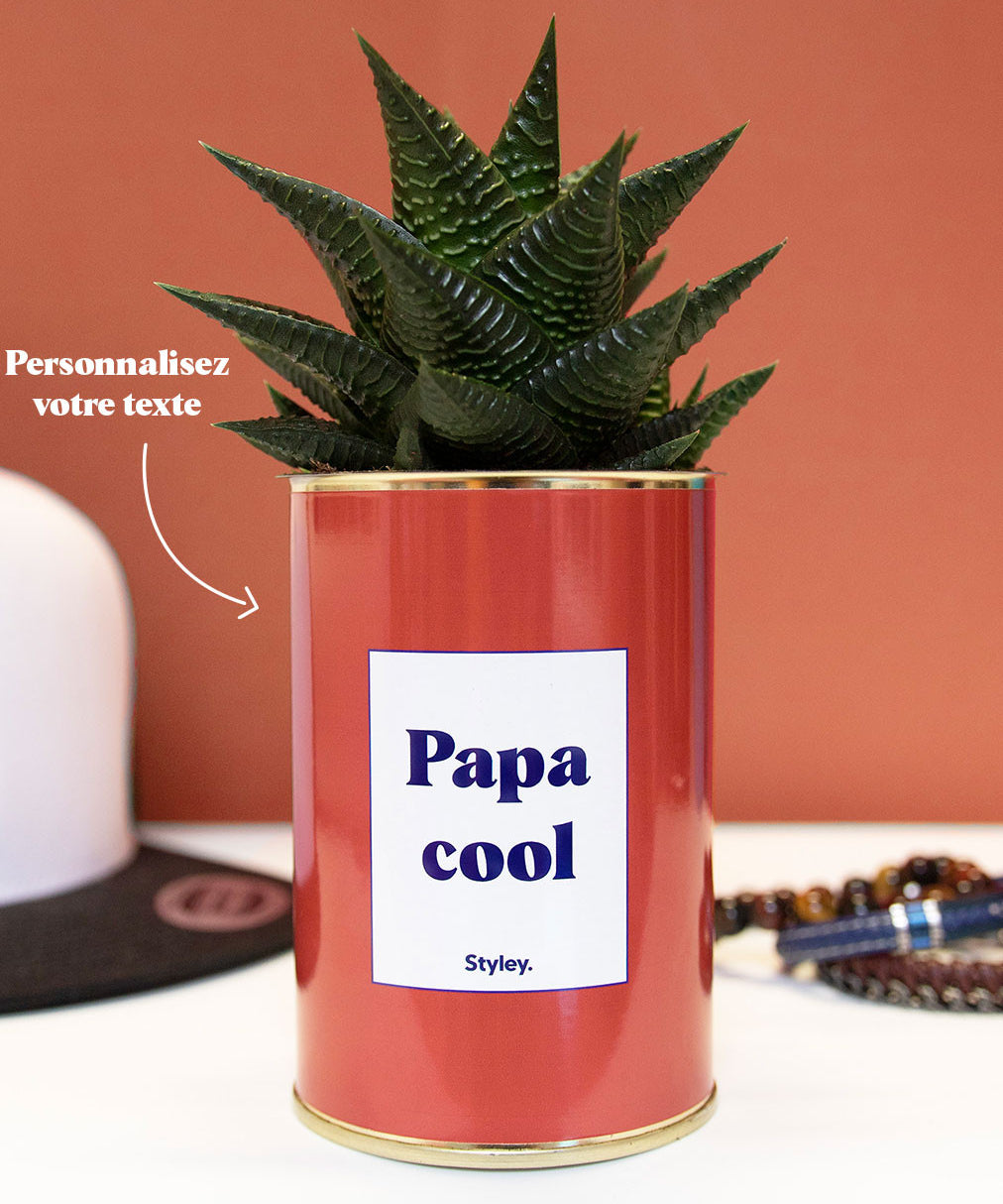 Cactus TerracoPapa - Personnalisable