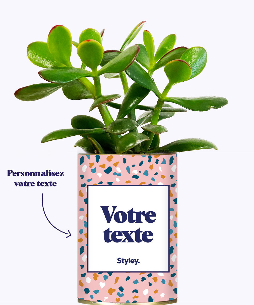Cactus Bichette - Personnalisable