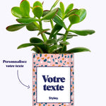 Cactus Bichette - Personnalisable