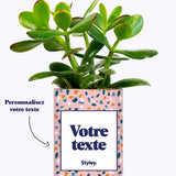 Cactus Bichette - Personnalisable