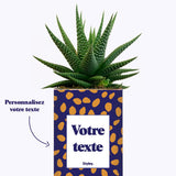Cactus GANG - Personnalisable