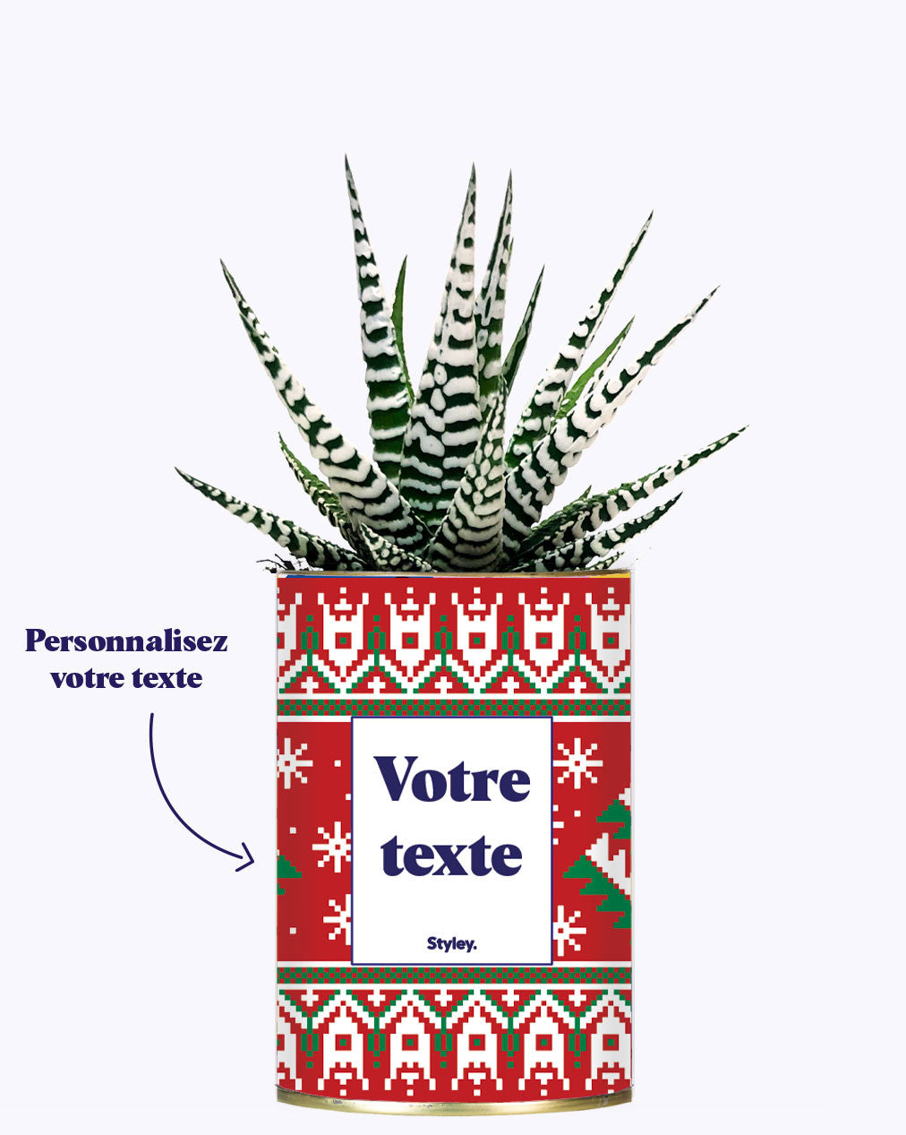 Mon cactus moche de Noël personnalisable - Cactus