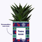 Plante de Noël Personnalisable - Cactus