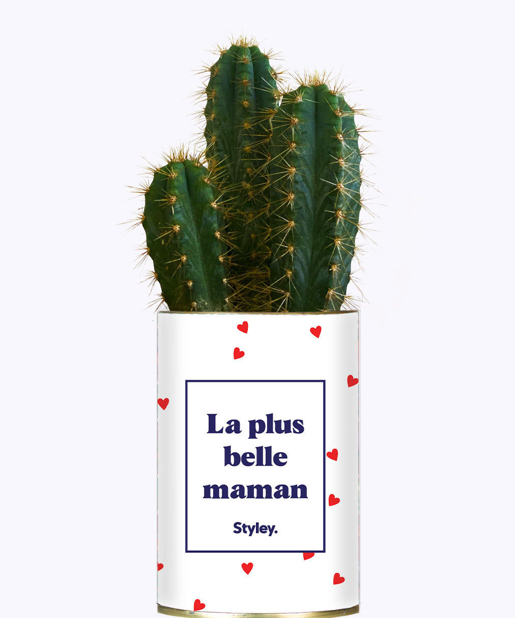 Plante Coup de foudre personnalisable - Cactus