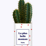 Plante Coup de foudre personnalisable - Cactus