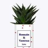 Plante Coup de foudre personnalisable - Cactus