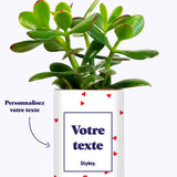 Plante Coup de foudre personnalisable - Cactus