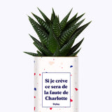 Si je crève personnalisable - Cactus