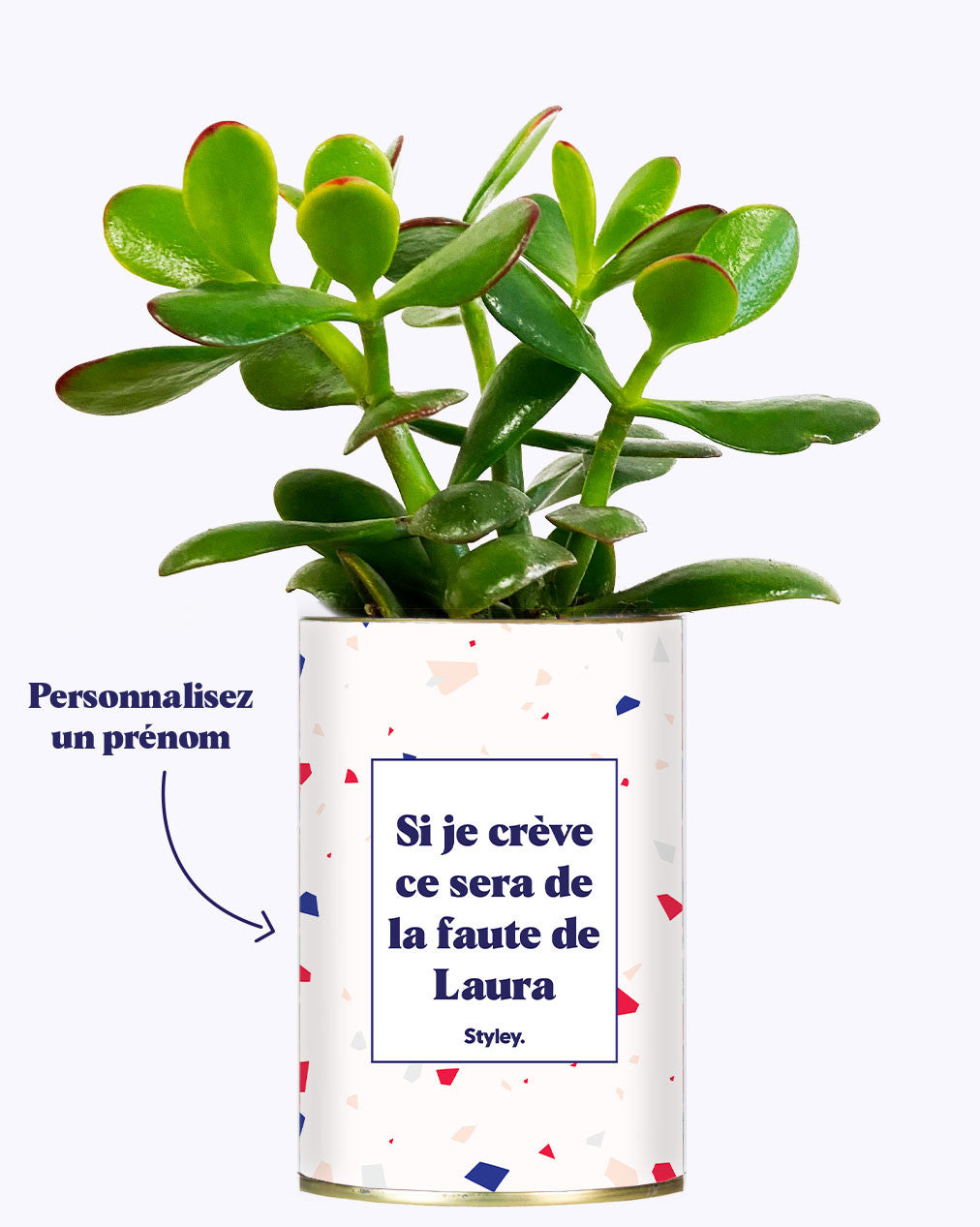 Si je crève personnalisable - Cactus
